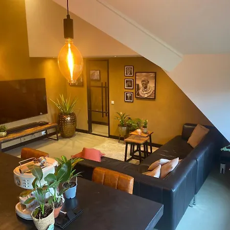 Апартаменты Hoeve Vierhuyse *