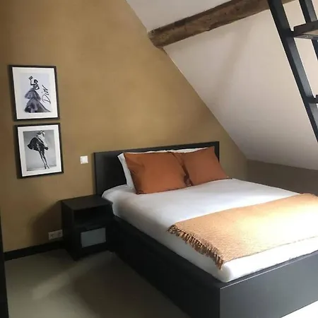 Апартаменты Hoeve Vierhuyse Акерслот