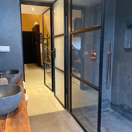 Апартаменты Hoeve Vierhuyse *