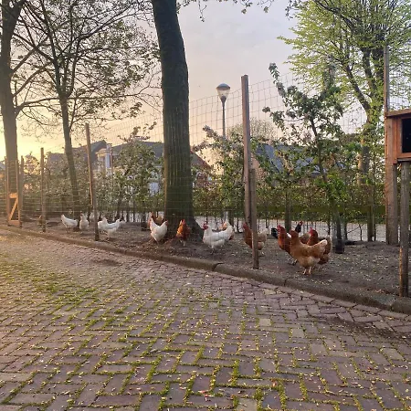 Hoeve Vierhuyse Апартаменты *